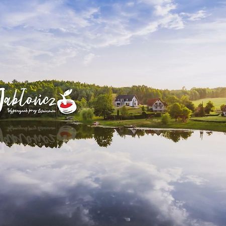 Wypoczynek Na Kaszubach Przy Jeziorach I Lasach Mokrzyn Exterior foto