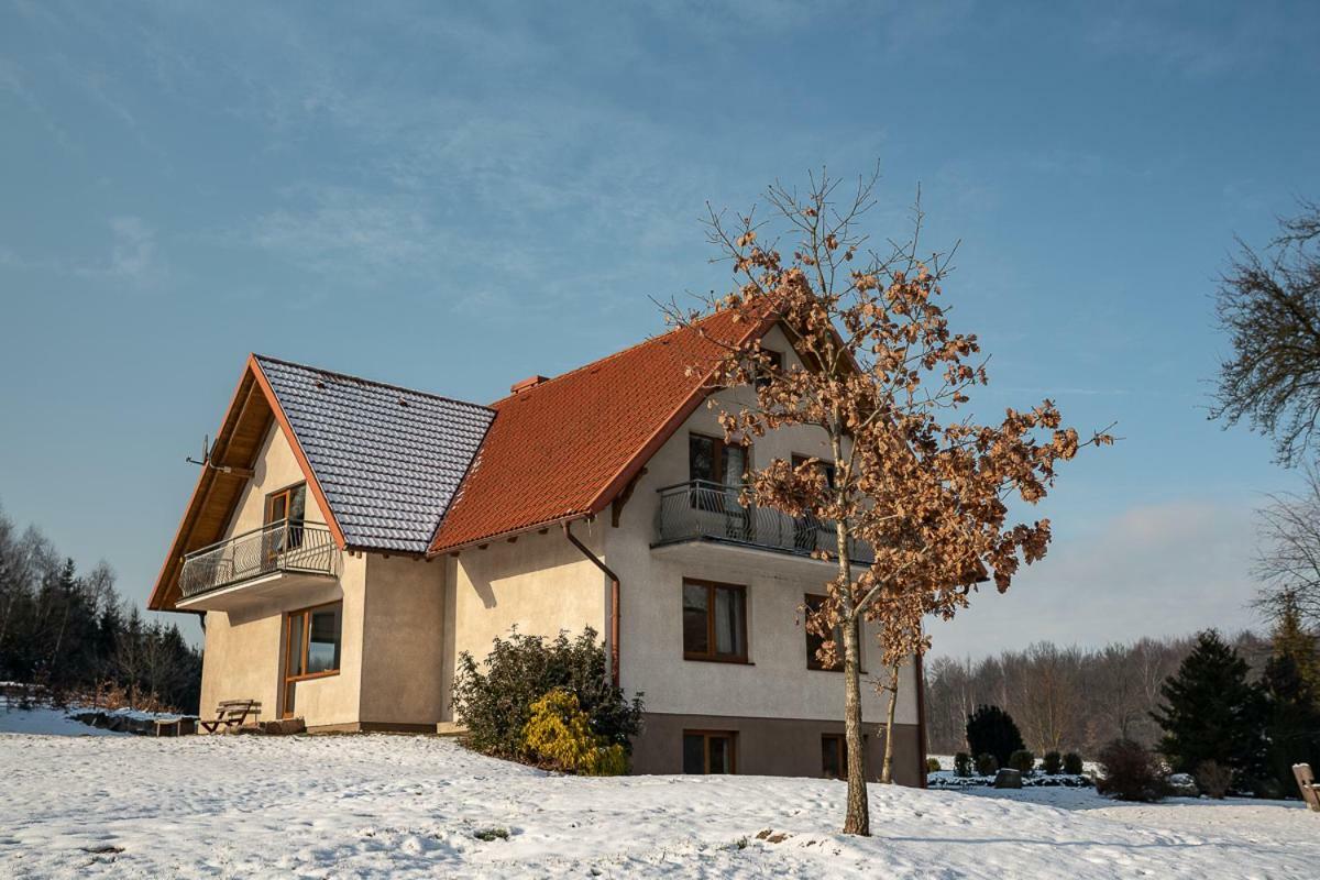 Wypoczynek Na Kaszubach Przy Jeziorach I Lasach Mokrzyn Exterior foto